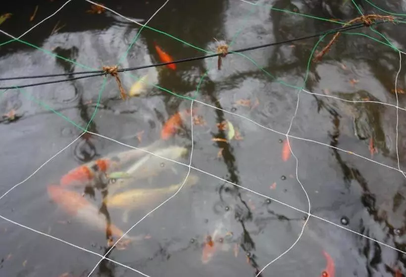 Majatalo Ohanabatake