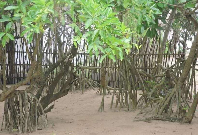 Akain Villa & Holiday Home