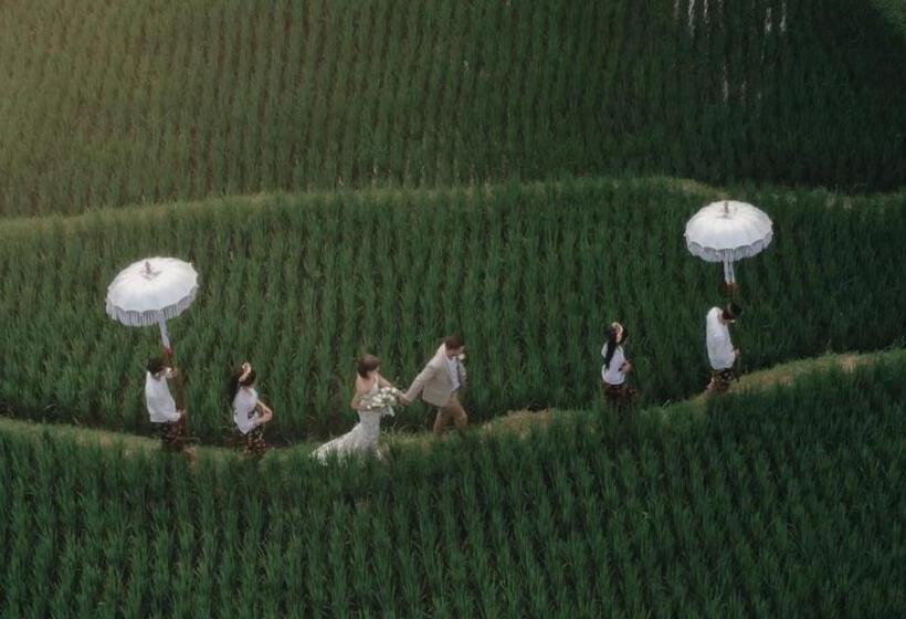 酒店 Adiwana Bisma