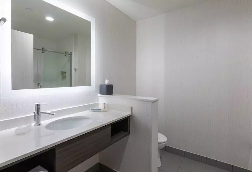 Hotelli Holiday Inn Greenville   Woodruff Road, An Ihg