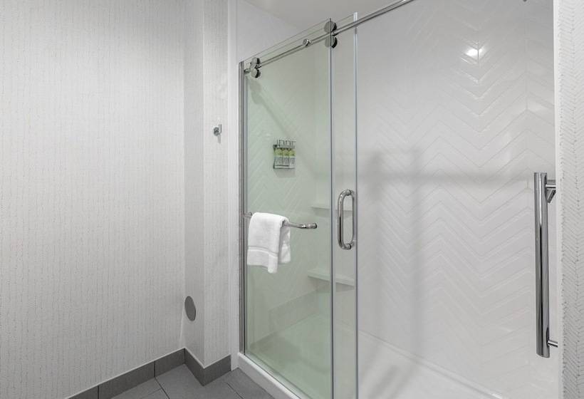 فندق Holiday Inn Greenville   Woodruff Road, An Ihg