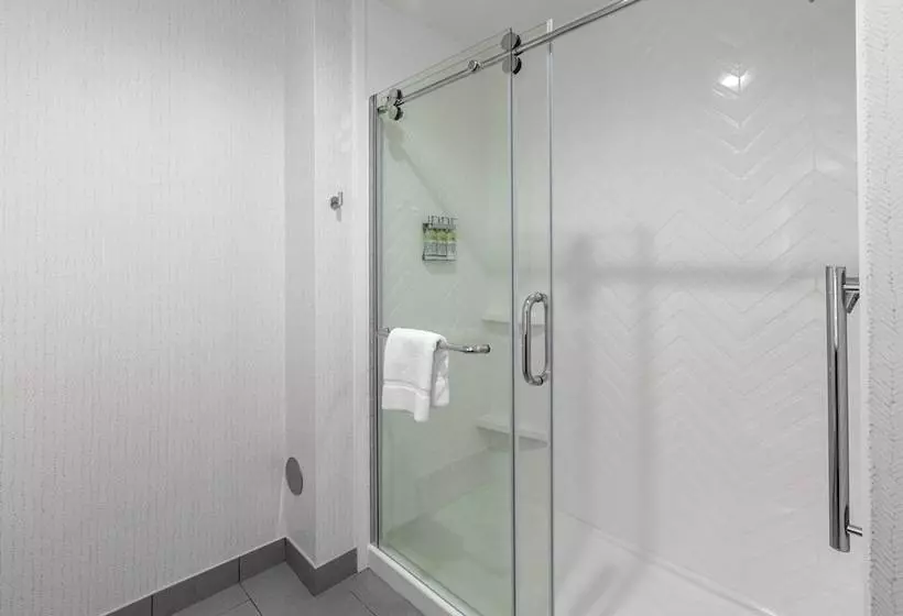 Hotelli Holiday Inn Greenville   Woodruff Road, An Ihg