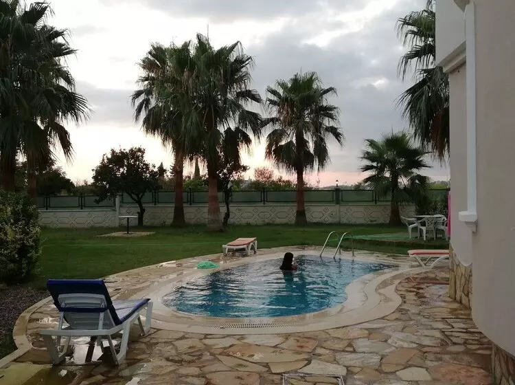 Star Villa