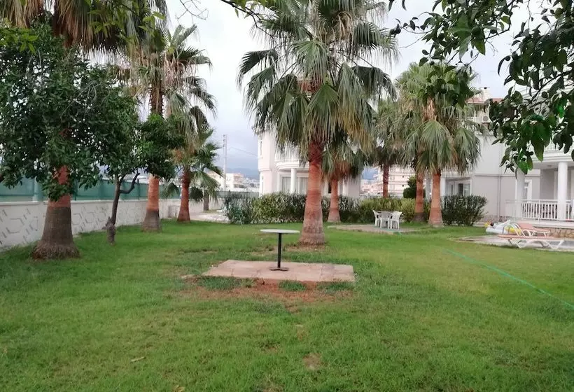 Star Villa