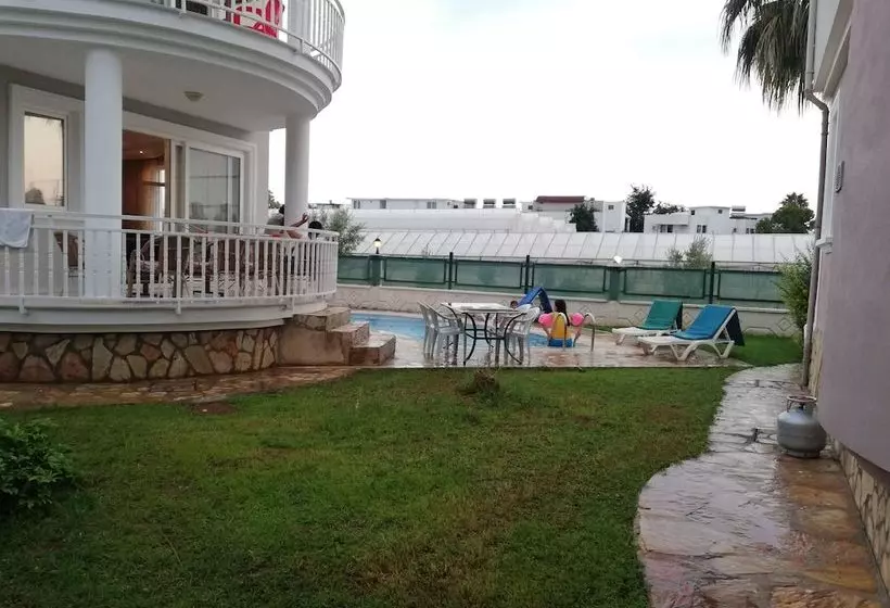 Star Villa
