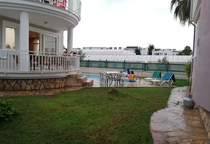 Star Villa