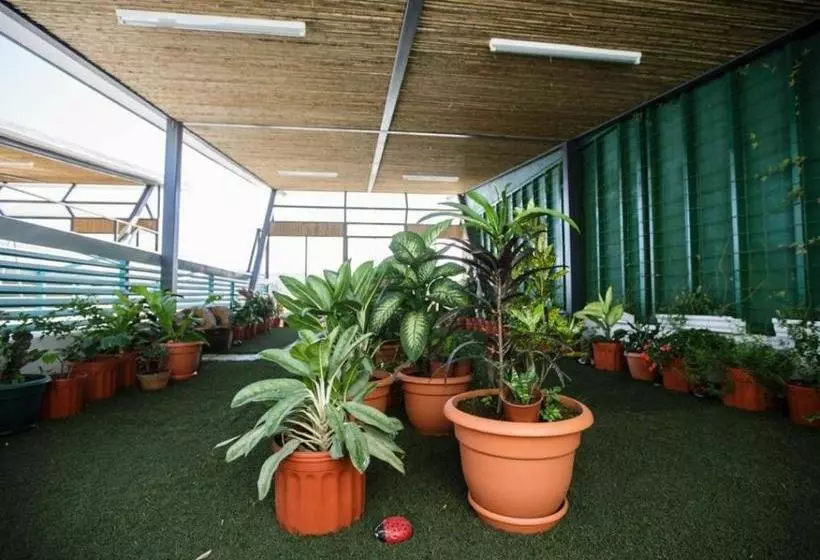 پانسیون Eco Residencia San Ramon