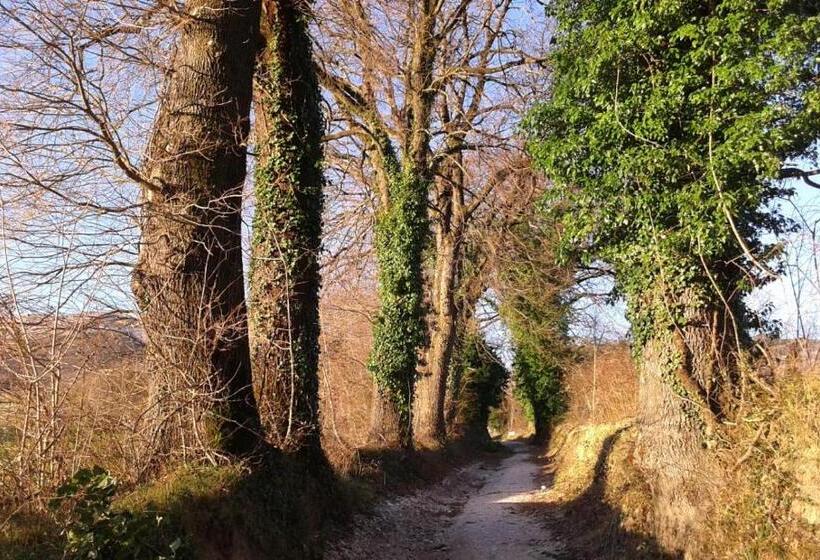 Отель B&b Resort Fonte La Castellana