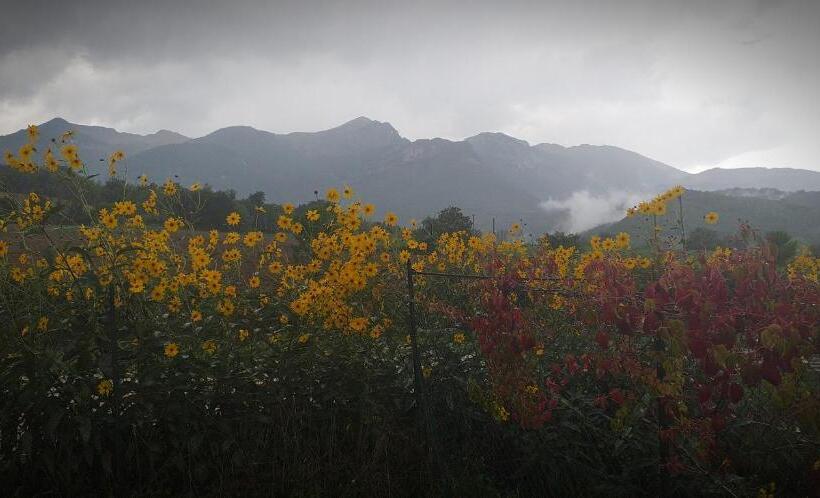 Отель B&b Resort Fonte La Castellana