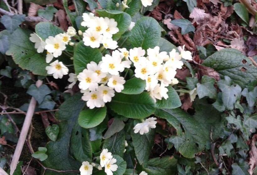 Отель B&b Resort Fonte La Castellana