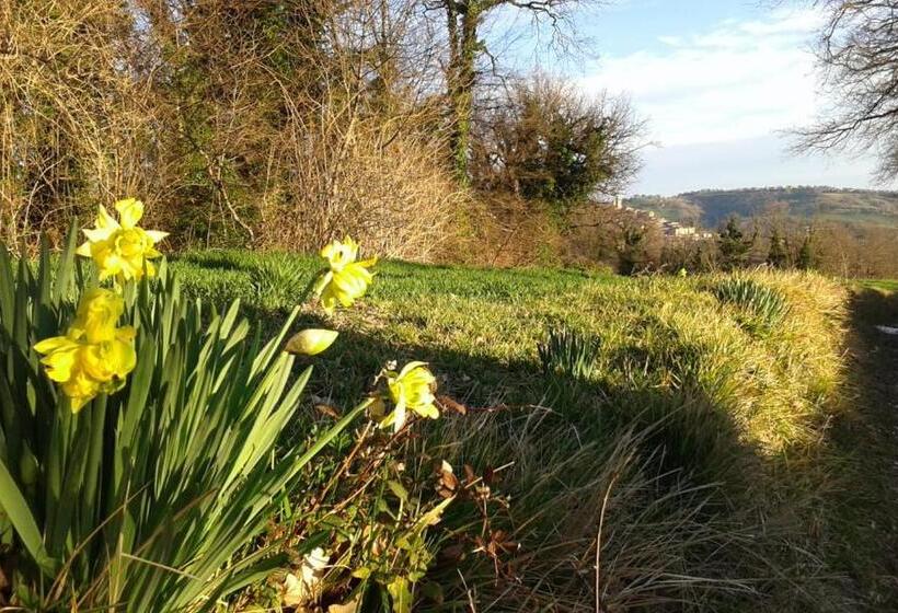 Отель B&b Resort Fonte La Castellana