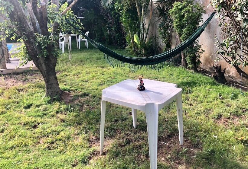 پانسیون Pousadazen Bougainville