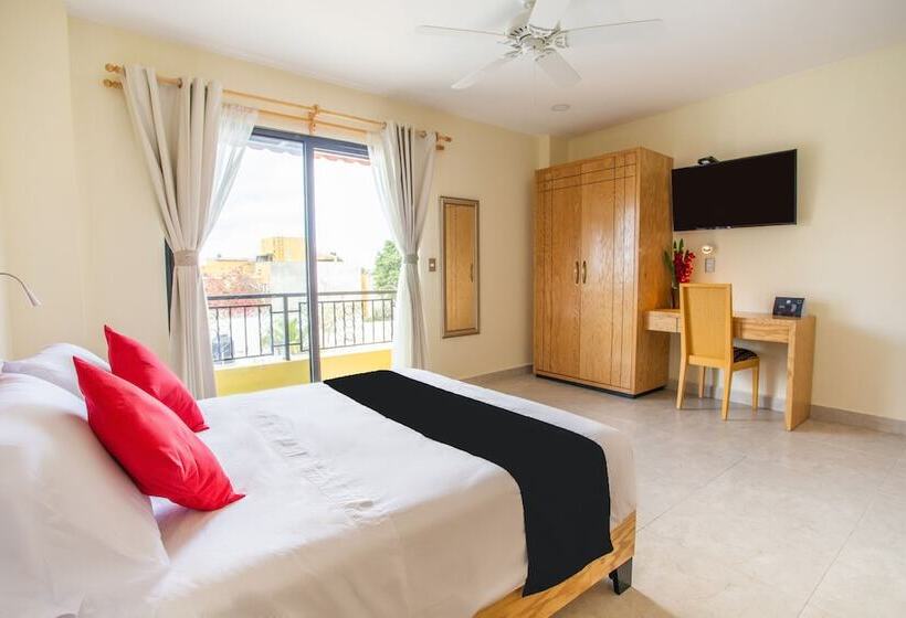 فندق La Casa De Los Alcatraces