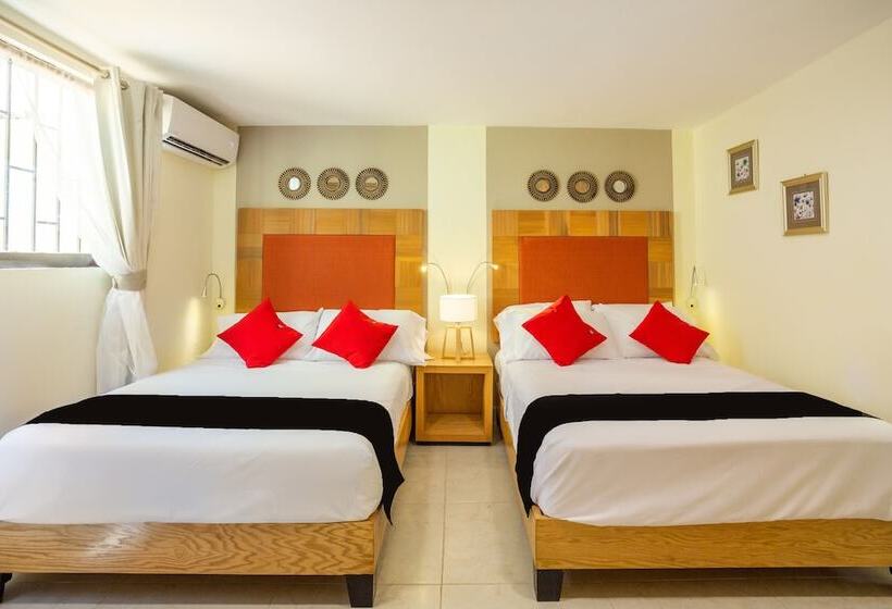 فندق La Casa De Los Alcatraces