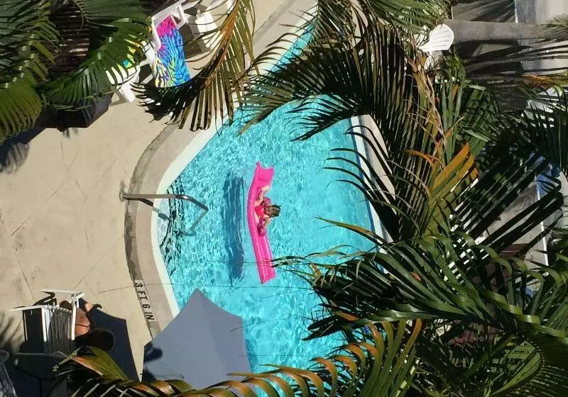 فندق Lantern Inn & Suites  Sarasota