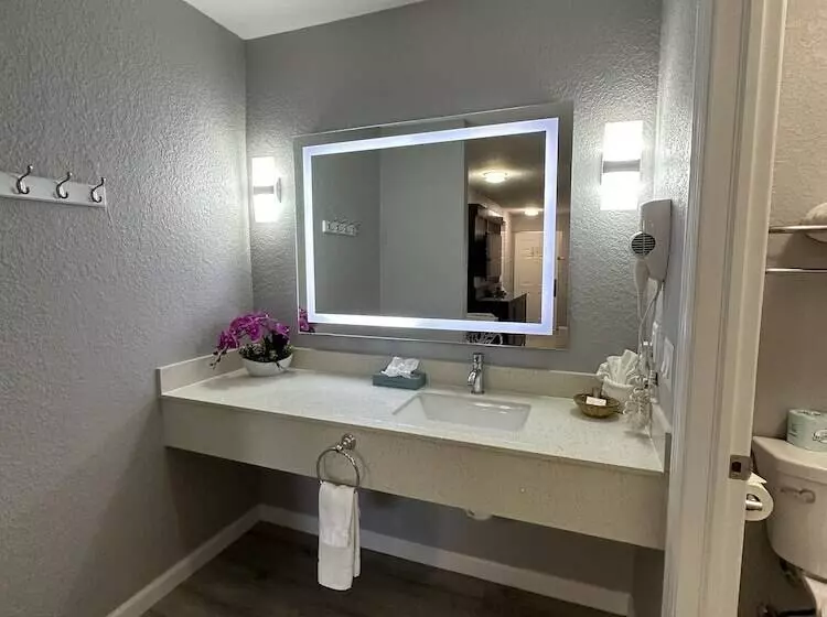 فندق Lantern Inn & Suites  Sarasota