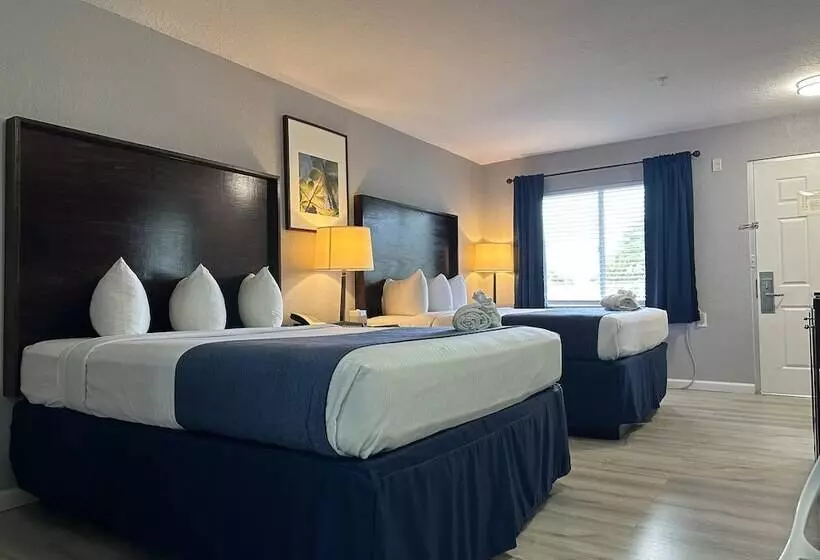 فندق Lantern Inn & Suites  Sarasota