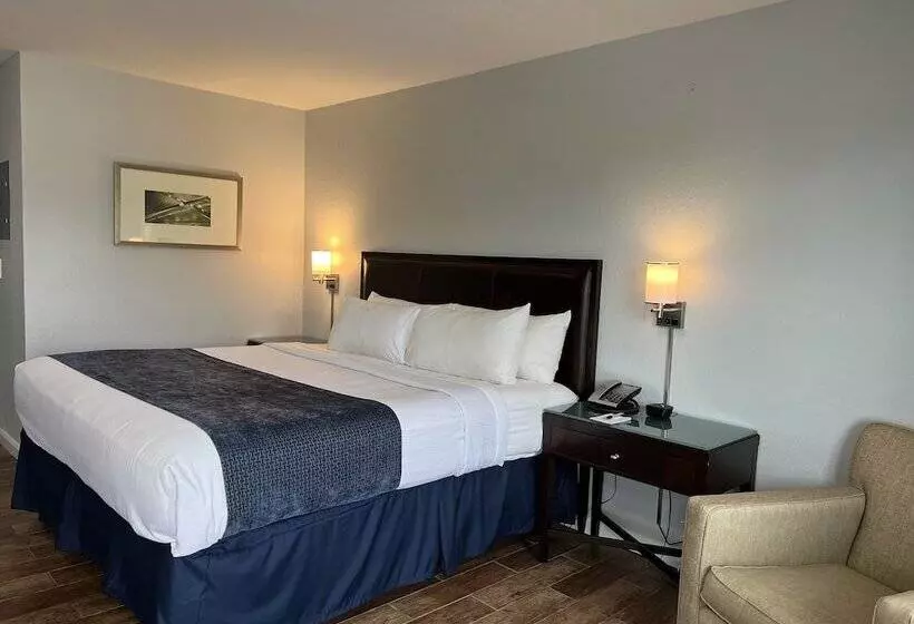 فندق Lantern Inn & Suites  Sarasota