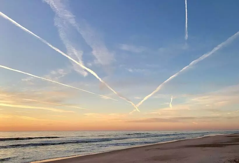 هتل One Ocean Resort And Spa