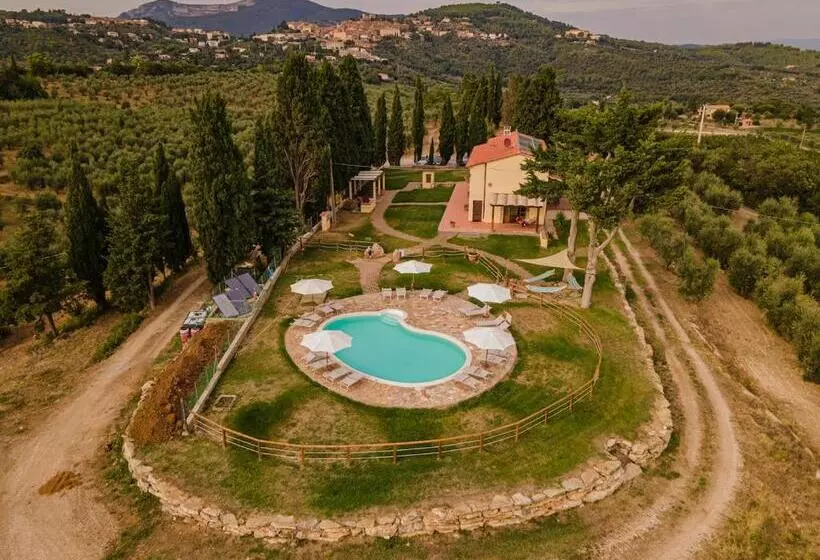 ホテル Agriturismo Mercurio