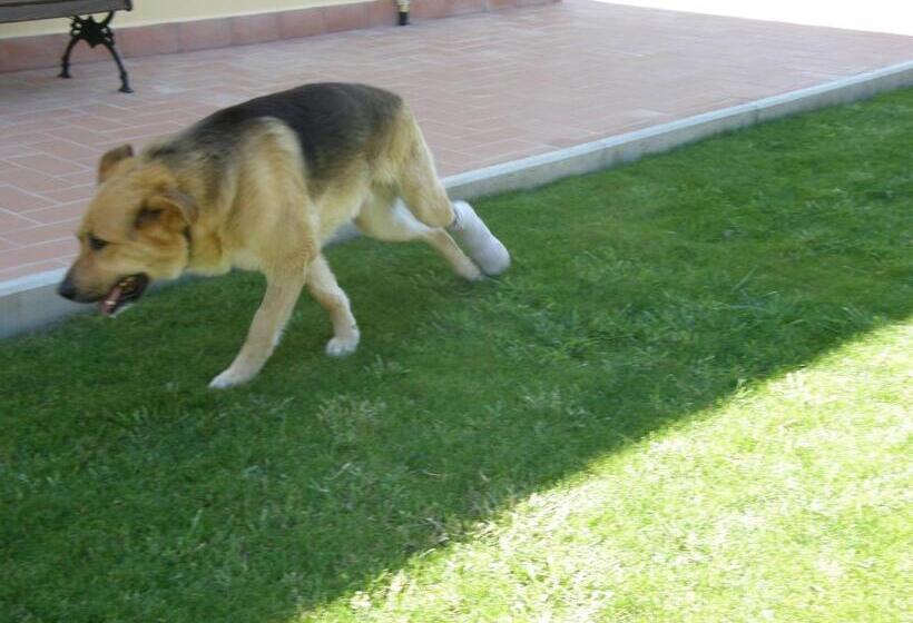 酒店 Agriturismo Mercurio