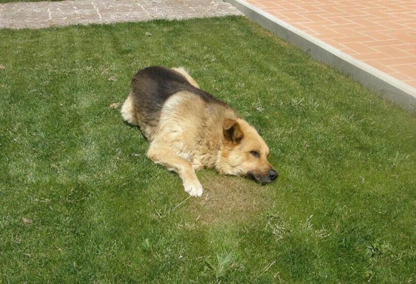 酒店 Agriturismo Mercurio