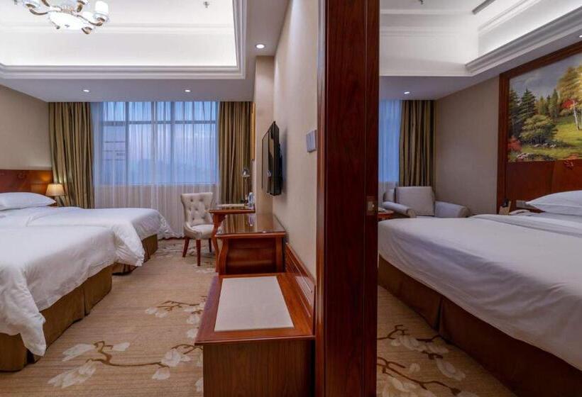 בית מלון כפרי Vienna