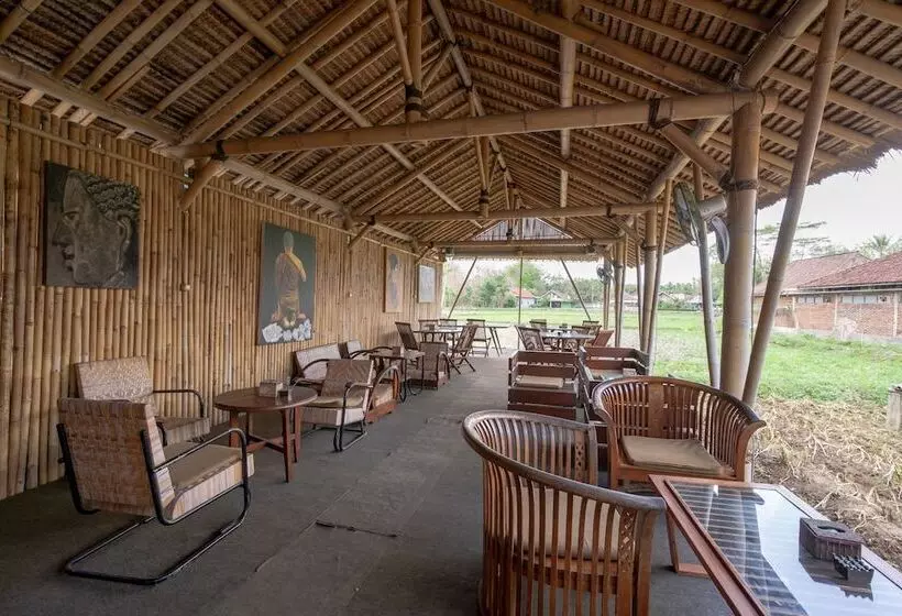 هتل Oyo 2380 Alea Guesthouse