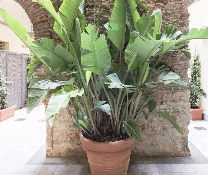 هتل Agave In Citta