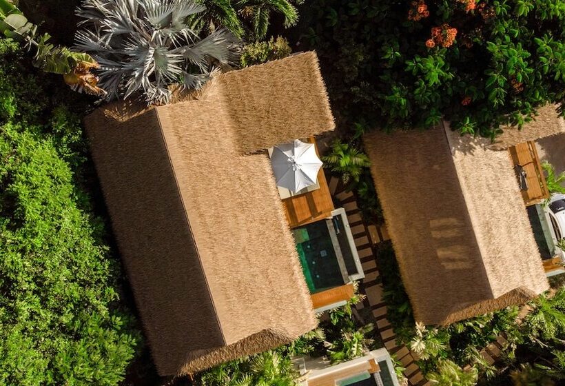 Wild Cottages Luxury And Natural Adults Only