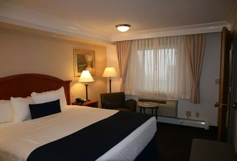 בית מלון כפרי Best Western Plus Silver Saddle Inn