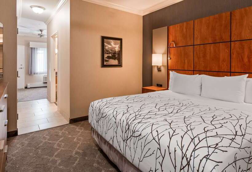 فندق Best Western Plus Silver Saddle Inn