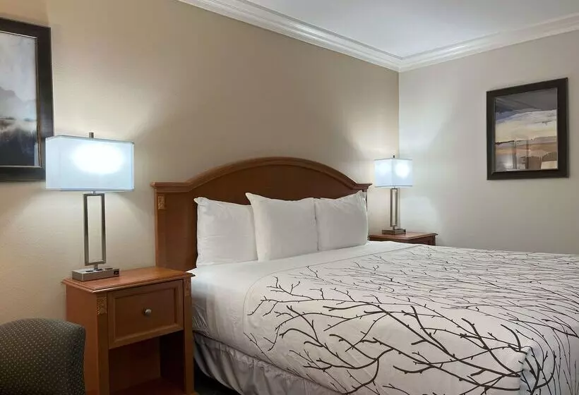 בית מלון כפרי Best Western Plus Silver Saddle Inn