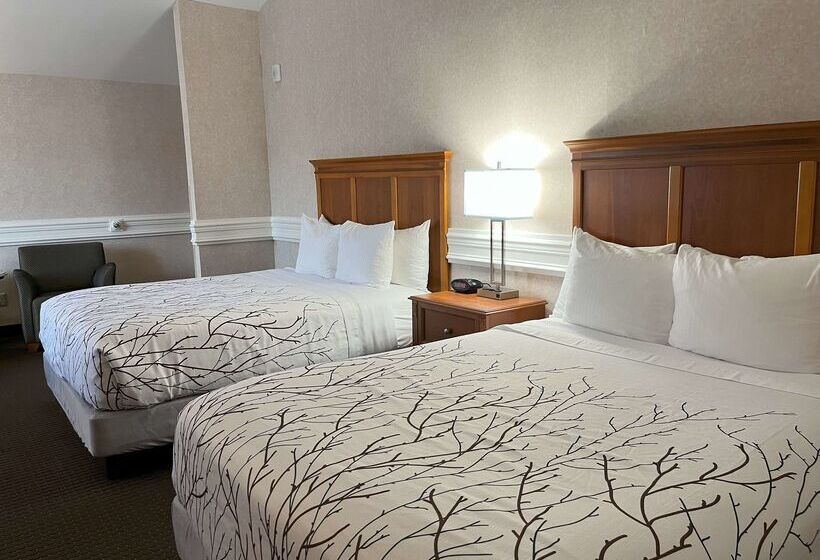 فندق Best Western Plus Silver Saddle Inn