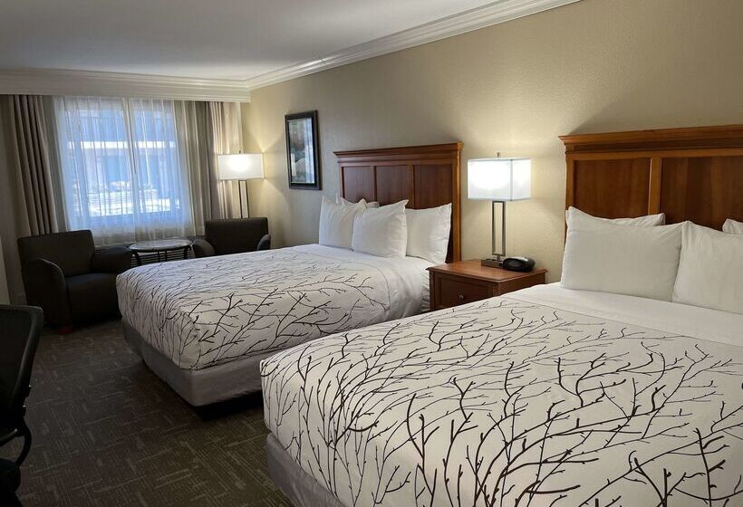 فندق Best Western Plus Silver Saddle Inn