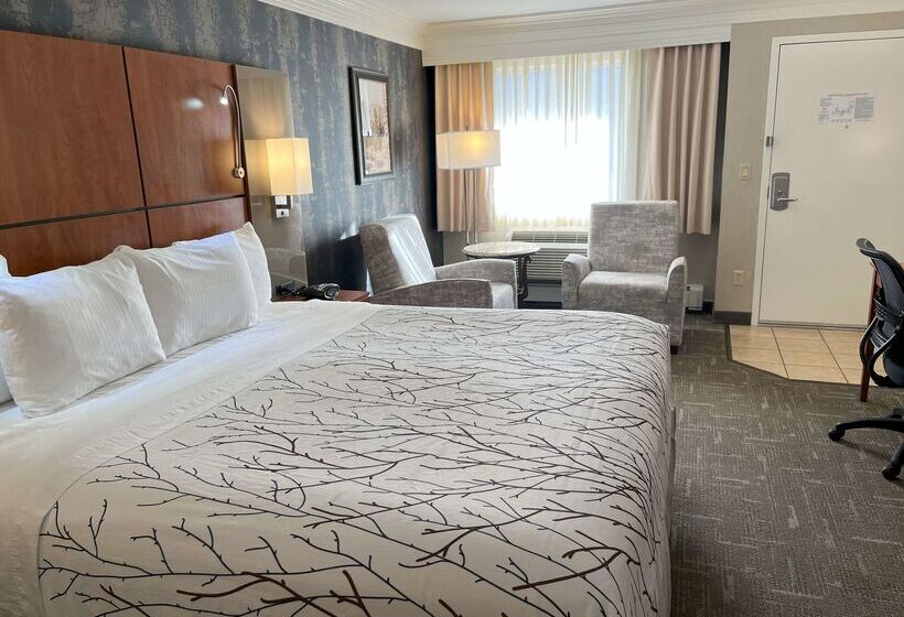 فندق Best Western Plus Silver Saddle Inn