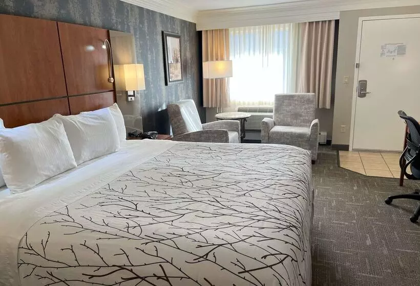 בית מלון כפרי Best Western Plus Silver Saddle Inn