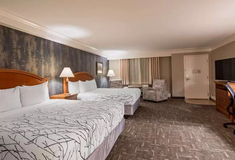 בית מלון כפרי Best Western Plus Silver Saddle Inn