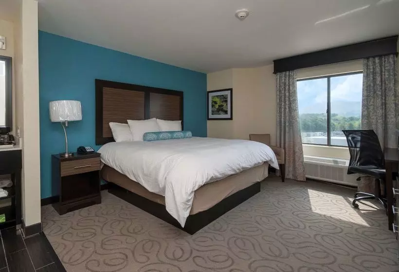 酒店 Best Western Travelers Rest/greenville