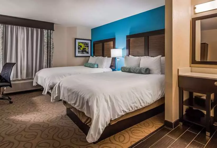 酒店 Best Western Travelers Rest/greenville