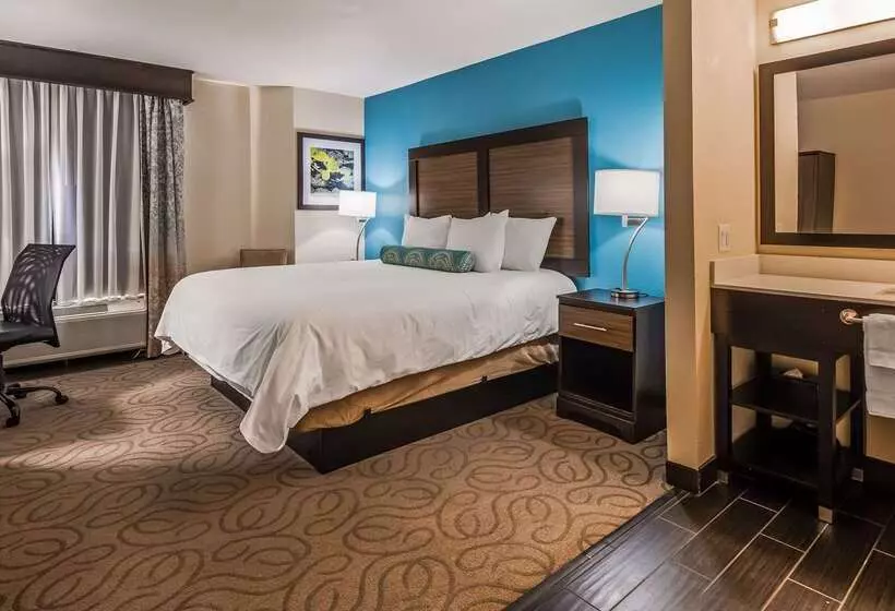 酒店 Best Western Travelers Rest/greenville