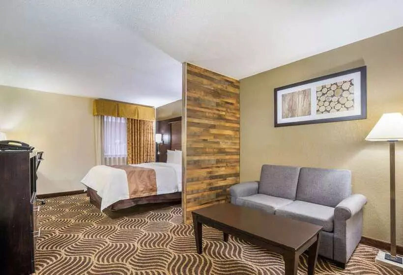 Отель Quality Inn & Suites Florence  Cincinnati South