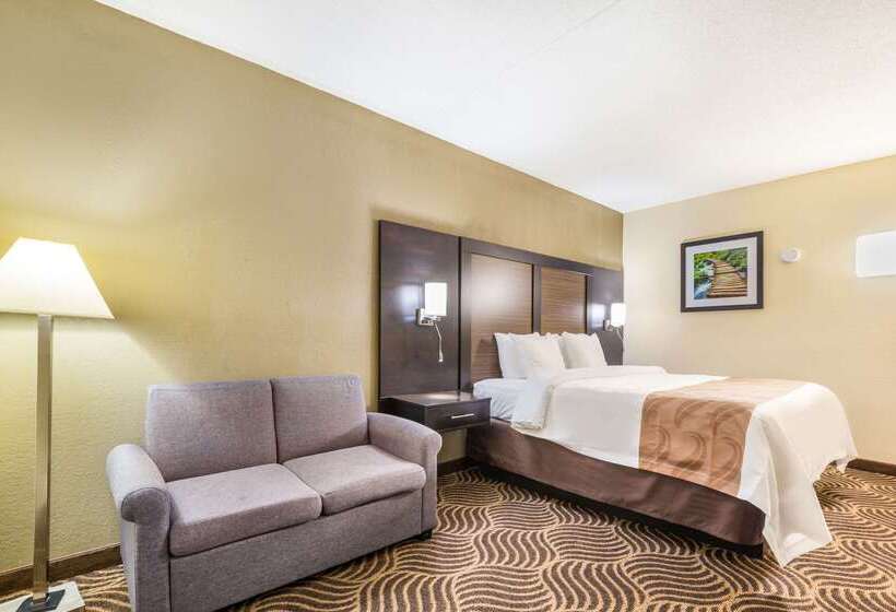 ホテル Quality Inn & Suites Florence  Cincinnati South