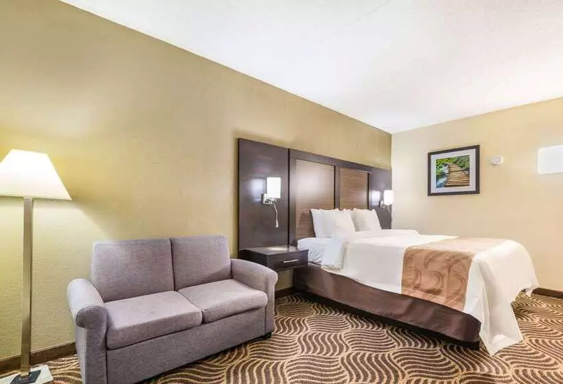 Отель Quality Inn & Suites Florence  Cincinnati South