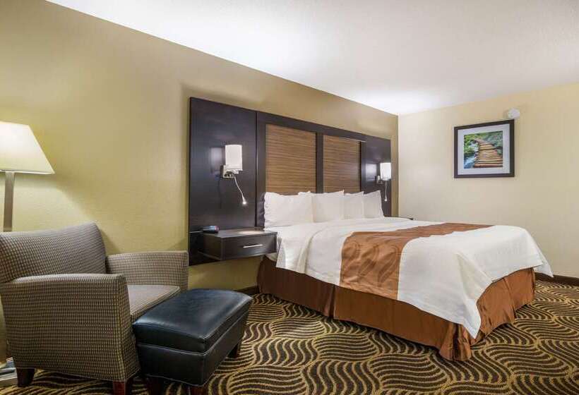 ホテル Quality Inn & Suites Florence  Cincinnati South