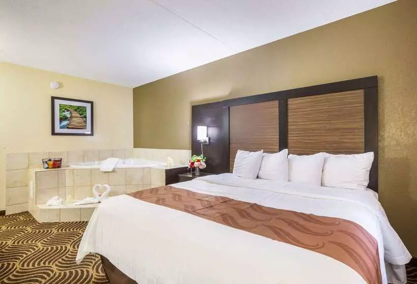 Отель Quality Inn & Suites Florence  Cincinnati South