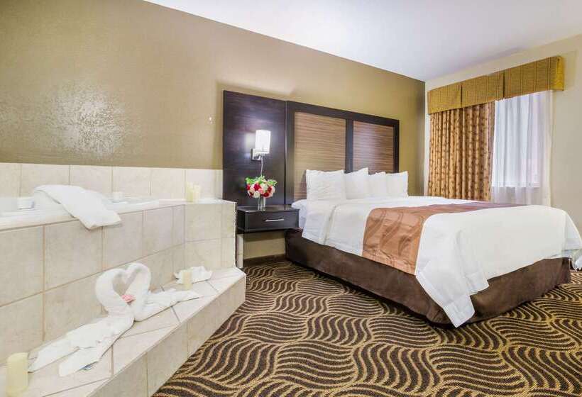 ホテル Quality Inn & Suites Florence  Cincinnati South