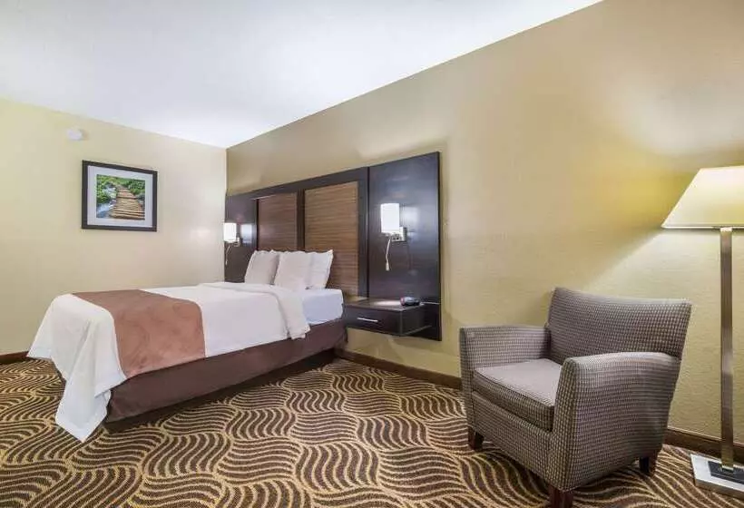 Отель Quality Inn & Suites Florence  Cincinnati South