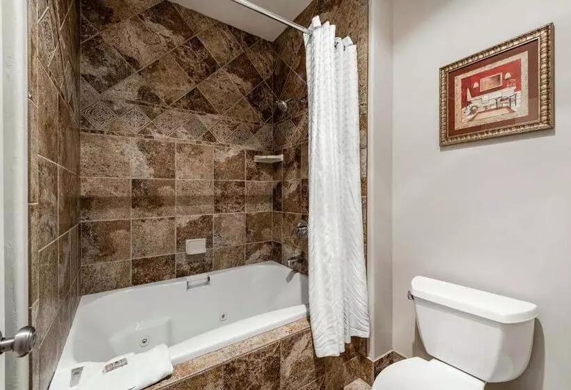 Отель Silver King By All Seasons Resort Lodging