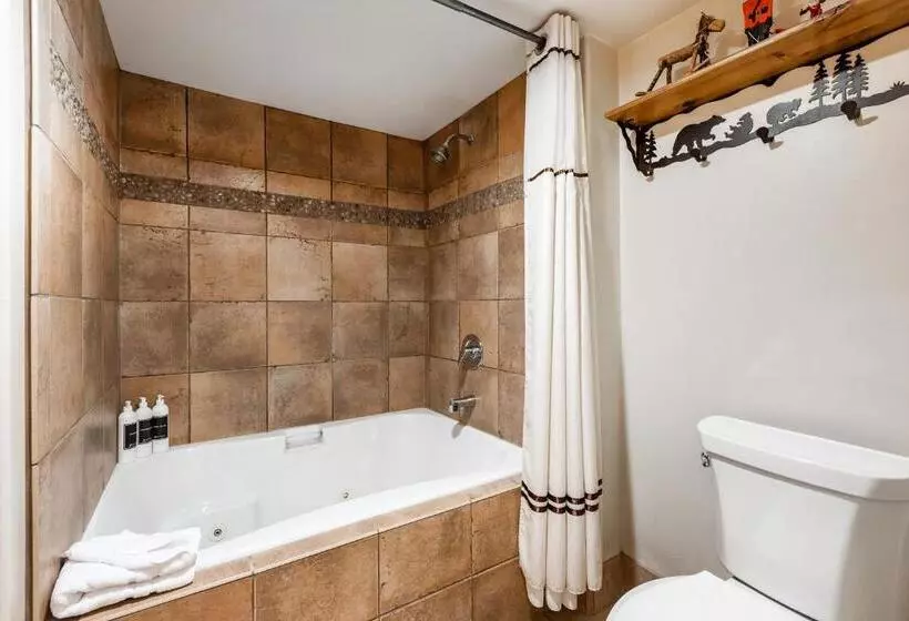 Отель Silver King By All Seasons Resort Lodging